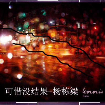 可惜没结果封面