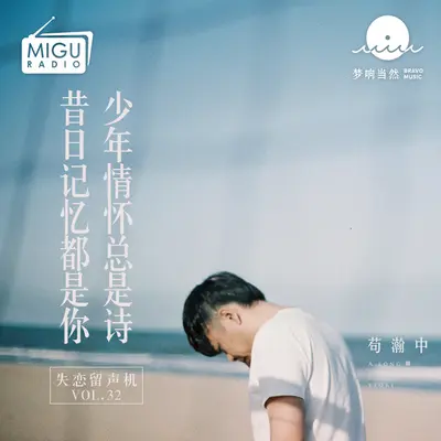 少年情怀总是诗 昔日记忆都是你(失恋留声机第三十二期)封面