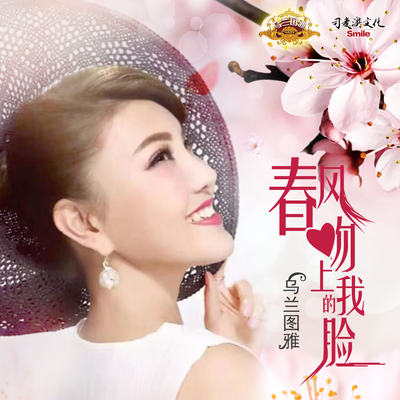 春风吻上我的脸封面