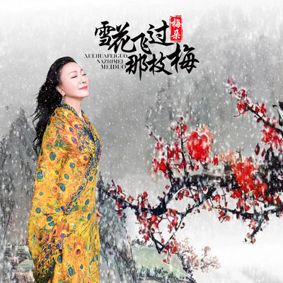 雪花飞过那枝梅(伴奏) - 梅朵封面