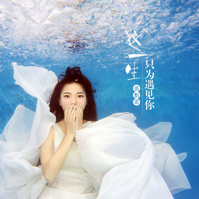 今生来世永不分离封面