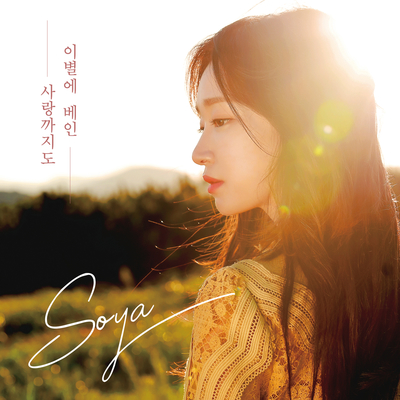 이별에 베인 사랑까지도 (Instrumental) - Soya封面