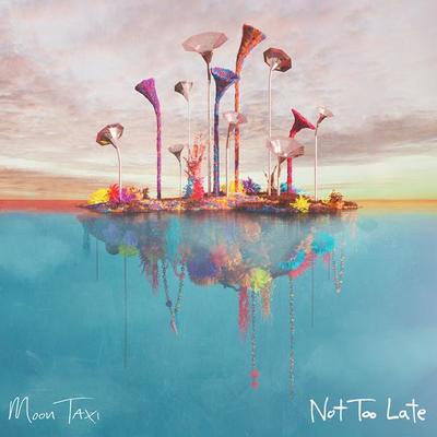 Not Too Late (Acoustic)封面