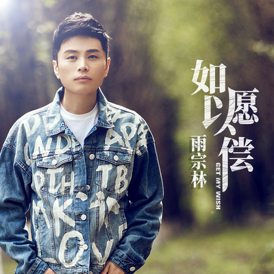 如愿以偿封面