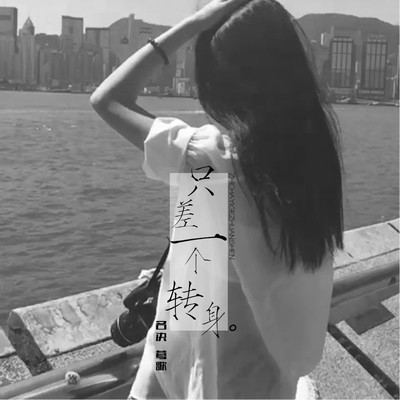樱花树下的约定(空拍)封面