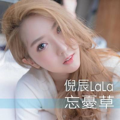 忘忧草封面