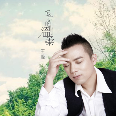 多余的温柔(Dj何鹏版)封面