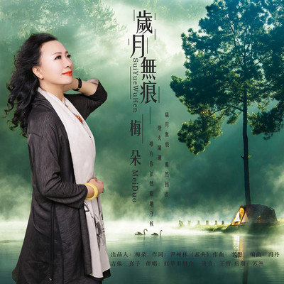 岁月无痕(伴奏)封面