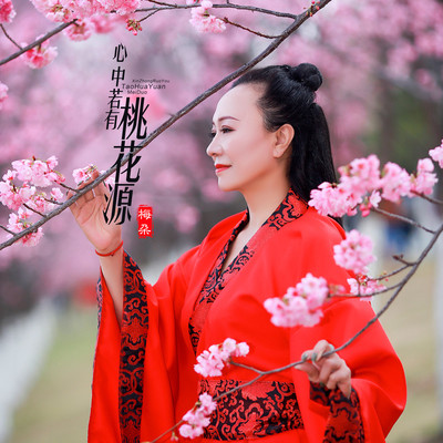 心中若有桃花源(伴奏)封面