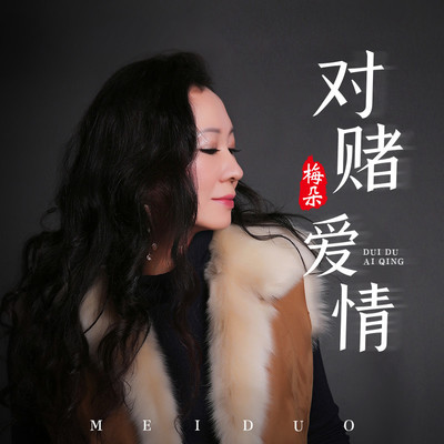 对赌爱情 - 梅朵封面