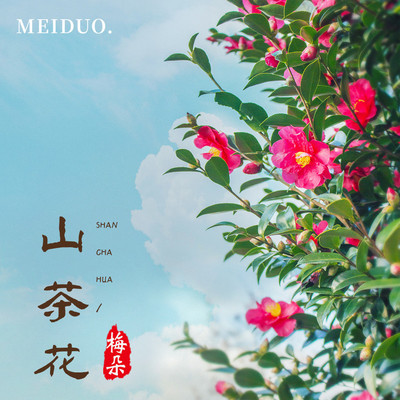 山茶花 (伴奏)封面