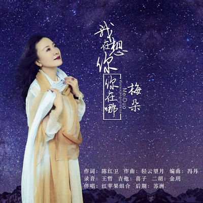 我在想你你在哪(伴奏)封面