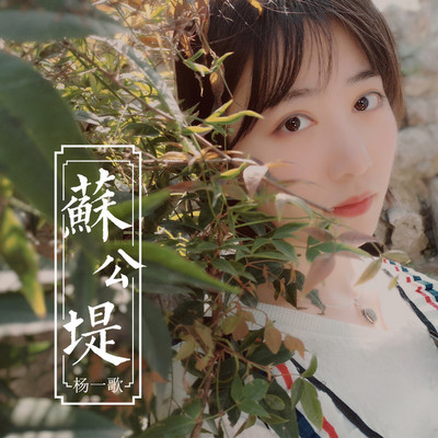 苏公堤(伴奏)封面