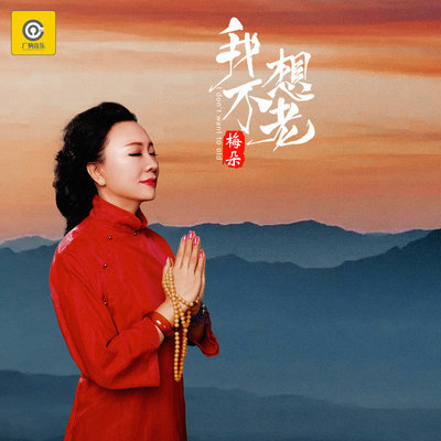我不想老 (DJ默涵版伴奏)封面