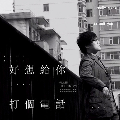 好想给你打个电话(完整版)(完整版) - 何龙雨封面