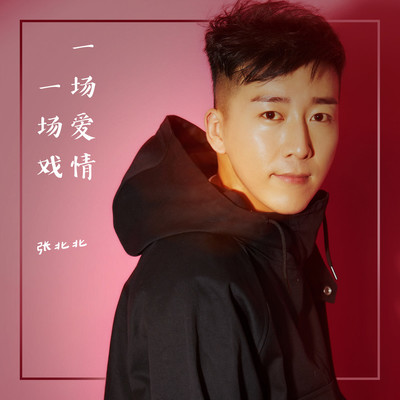 一场爱情一场戏封面