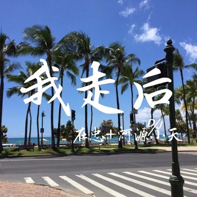 不后悔遇见你封面