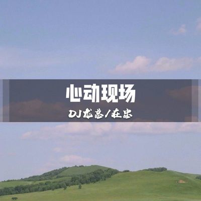 请叫我老哥封面