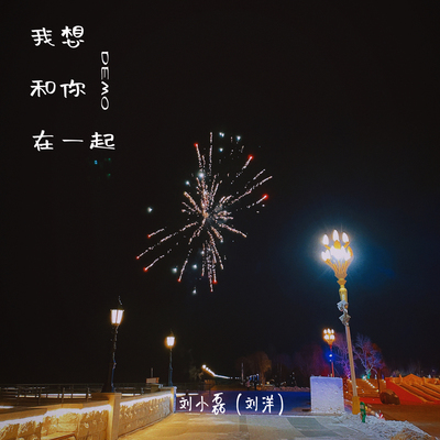 我想和你在一起（Demo）封面