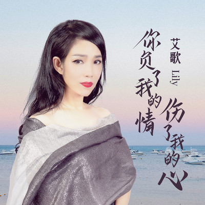 你负了我的情伤了我的心(伴奏)封面