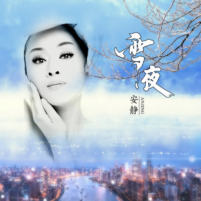 雪夜 (DJheap九天版) - 安静封面