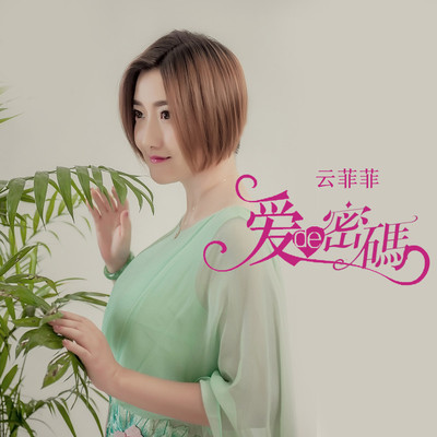 爱的密码(伴奏)封面