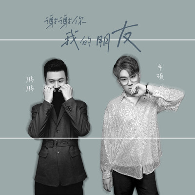 谢谢你我的朋友（伴奏）封面