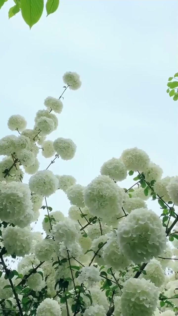 Paris Gets It(电影《恐怖蜡像馆》背景音乐) - John Ottman封面