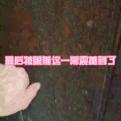 IQ成熟时封面