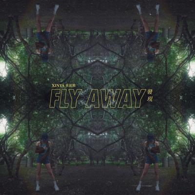 发现 (Fly Away) - 黄歆雅Xinya封面