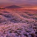 Hello World(from "Back to the Outback" soundtrack)封面
