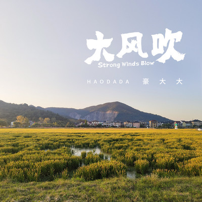 爱情路上风雨多(DJ豪大大版)(DJ豪大大版) - 豪大大封面