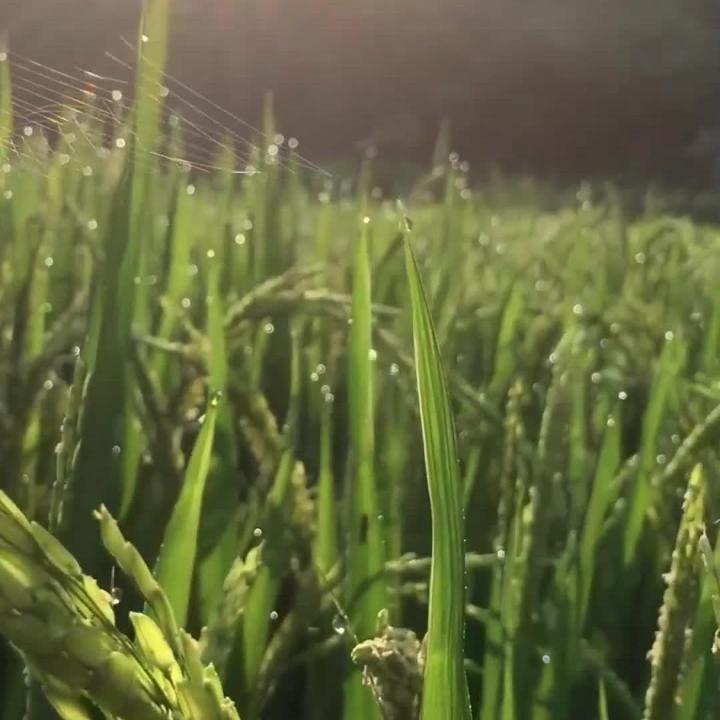 Unity封面