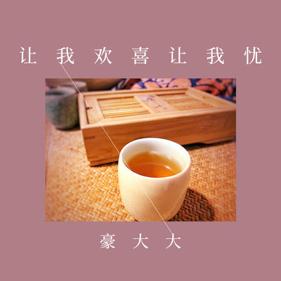 让我欢喜让我忧(DJ豪大大版)(DJ豪大大版)封面