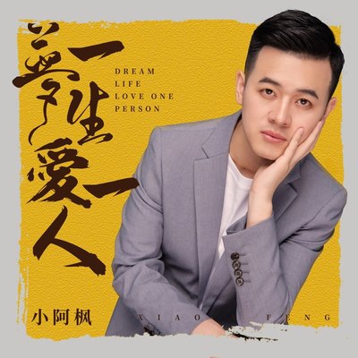 梦一生爱一人封面