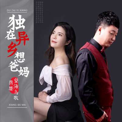 独在异乡想爸妈封面