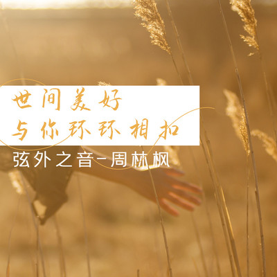 世间美好与你环环相扣 (DJ版)封面