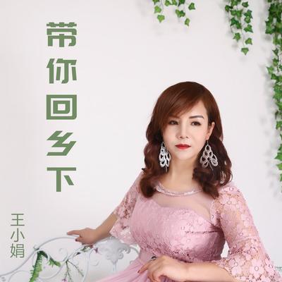 带你回乡下封面