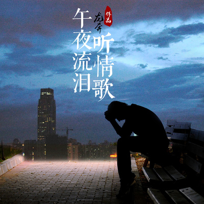 午夜流泪听情歌 (DJ加快版)封面