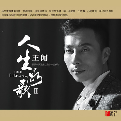 寂寞在歌唱封面