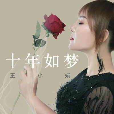 十年如梦封面
