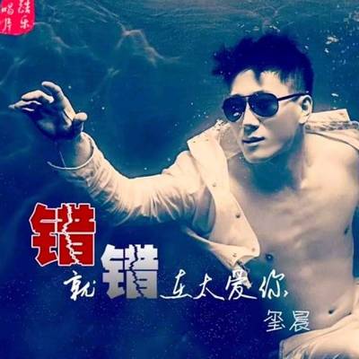 错就错在太爱你(DJ枫叶版)(DJ枫叶版)封面