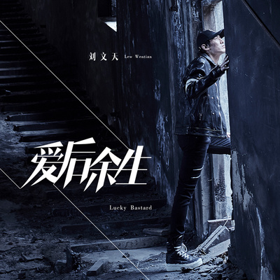化石 - 刘文天封面