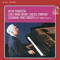 Piano Concerto in A Minor, Op. 54: I. Allegro affettuoso