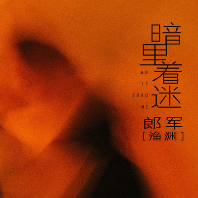 暗里着迷封面