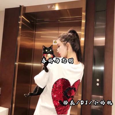 大眠 (DJ热播版)封面