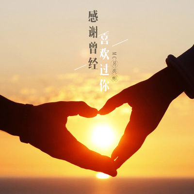 放心我不会爱了封面