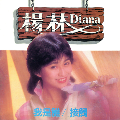 风儿又来了封面