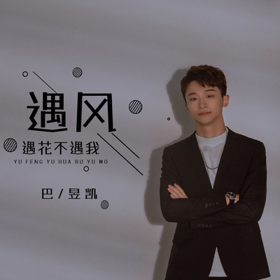 遇风遇花不遇我 (DJ默涵版)封面