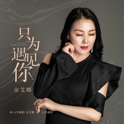 只为遇见你(伴奏)封面